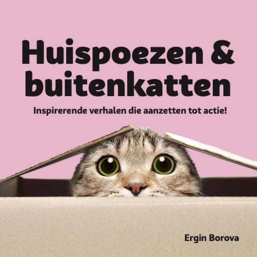 Huispoezen & Buitenkatten